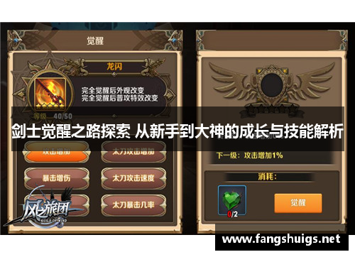 剑士觉醒之路探索 从新手到大神的成长与技能解析